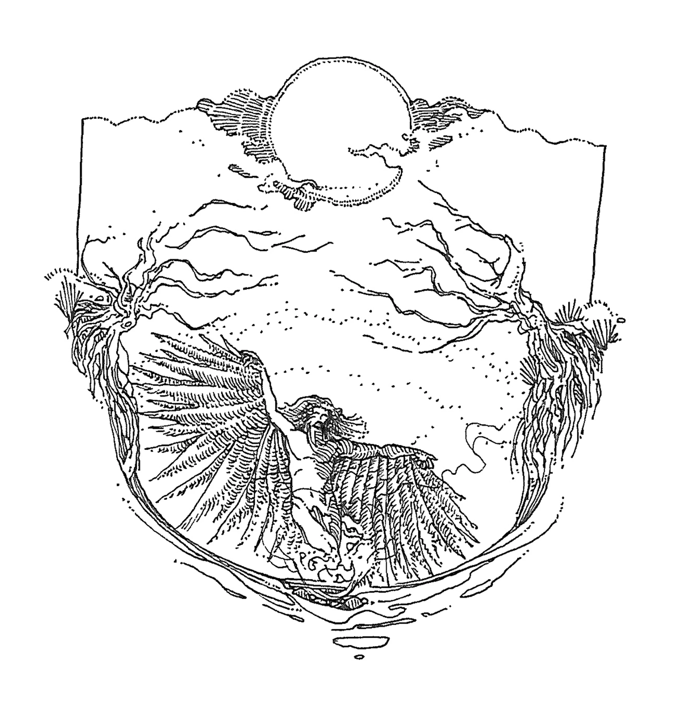 El escudo